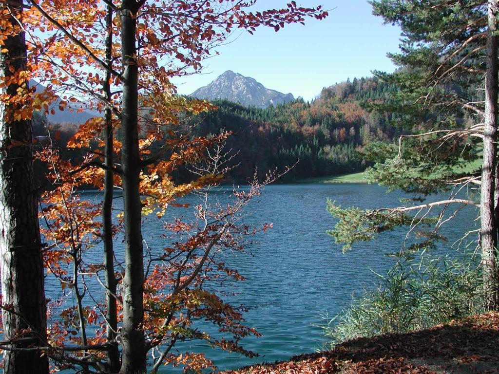 Gaestehaus Am Graben Reuthe Buitenkant foto