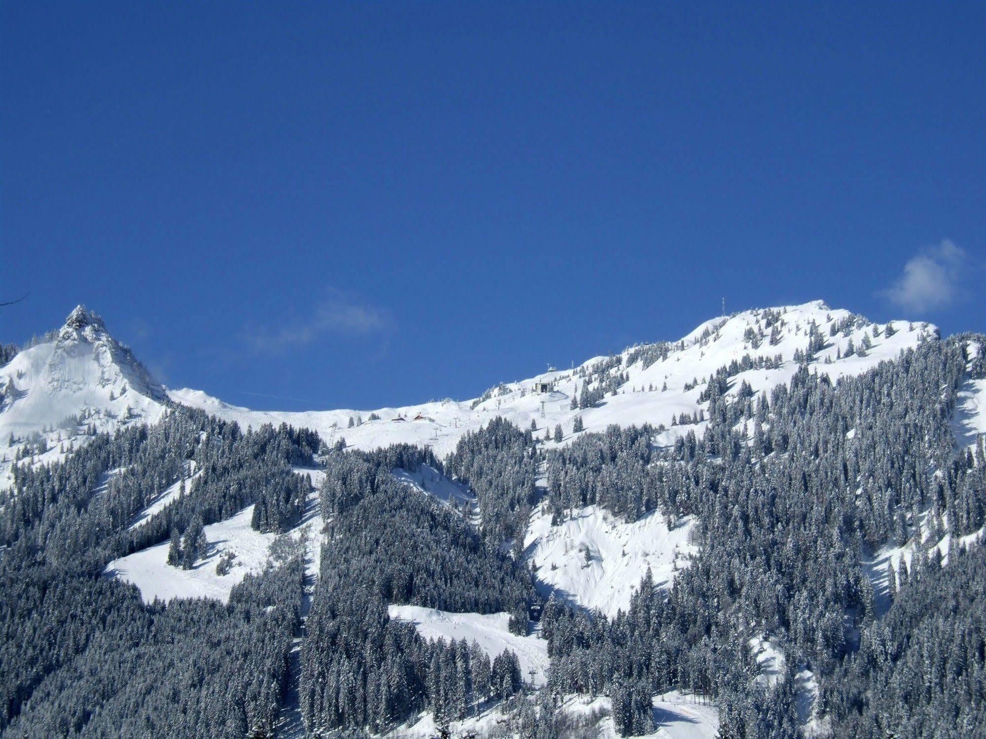 Gaestehaus Am Graben Reuthe Buitenkant foto